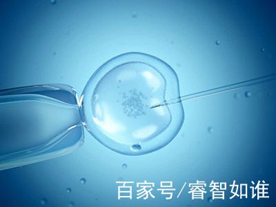 三代试管供卵代怀